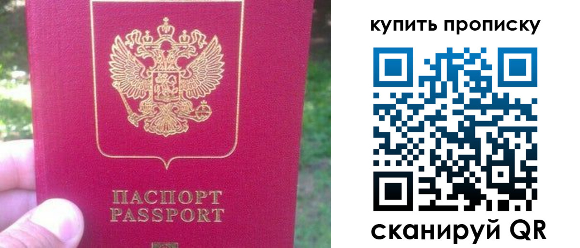 временная регистрация для школы в Чистополье